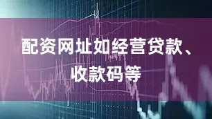 配资网址如经营贷款、收款码等