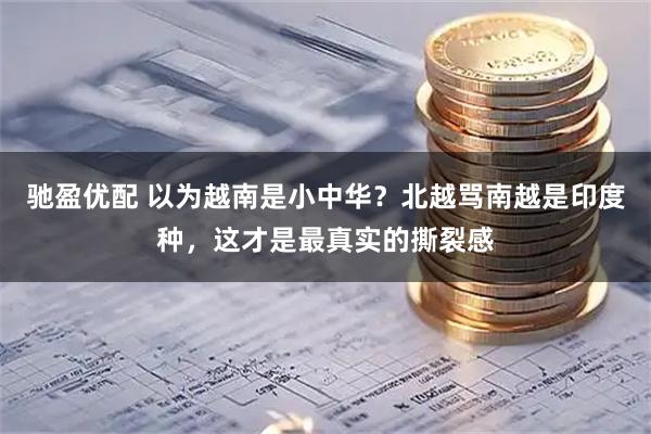 驰盈优配 以为越南是小中华？北越骂南越是印度种，这才是最真实的撕裂感
