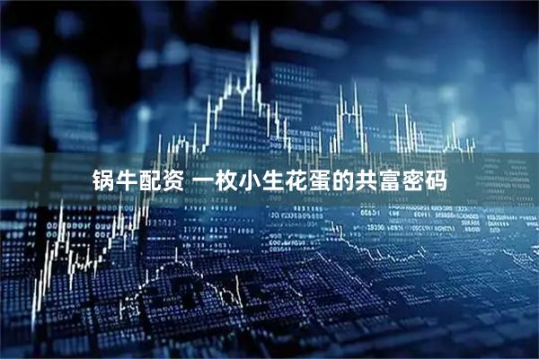 锅牛配资 一枚小生花蛋的共富密码